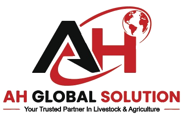 AH Global Solution logo